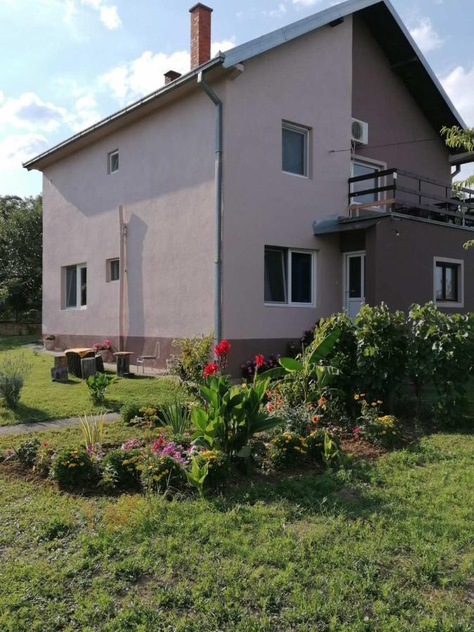 Apartmani Vidikovac Golubac Εξωτερικό φωτογραφία