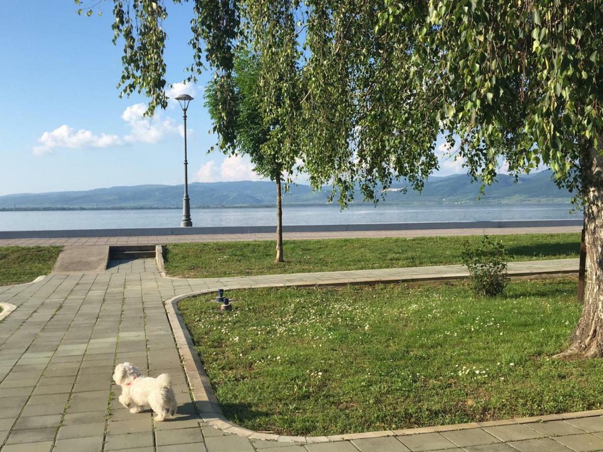 Apartmani Vidikovac Golubac Εξωτερικό φωτογραφία